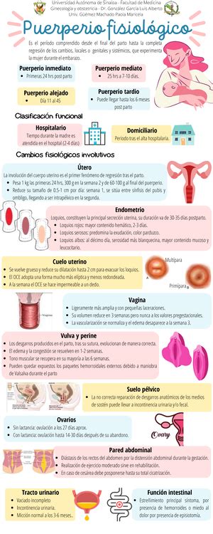 endometriosis gpc actualizada